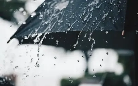 تساقطات ثلجية وأمطار مرتقبة بعدد من مناطق المملكة اليوم السبت