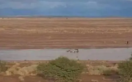 سيول وادي فزو بتنغير تجرّف سيارة رباعية الدفع وتودي بحياة أربعة أشخاص