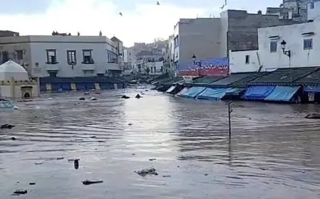 حصيلة ضحايا فيضانات آسفي ترتفع إلى 37 وفاة وعمليات الإنقاذ متواصلة