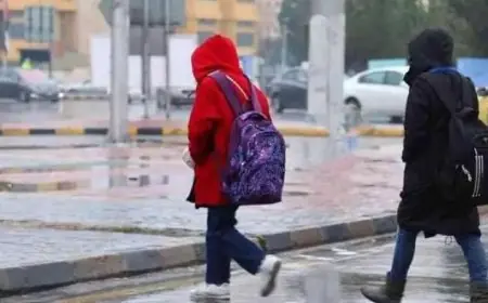 بسبب الاضطرابات الجوية.. تمديد تعليق الدراسة بإقليمي شيشاوة وشفشاون