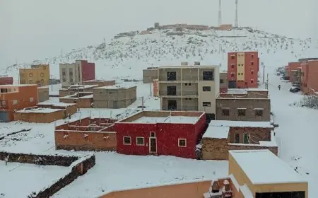نشرة إنذارية.. تساقطات ثلجية وأمطار رعدية بعدد من مناطق المملكة