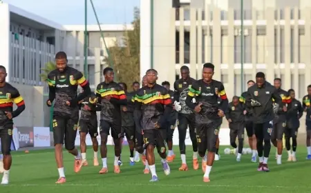 القنوات الناقلة لمباراة مالي ضد زامبيا بكأس إفريقيا