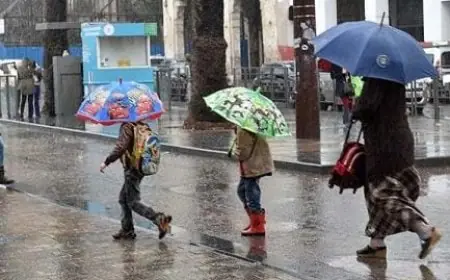 تعليق الدراسة بعدد من أقاليم المملكة غداً الثلاثاء بسبب سوء الأحوال الجوية
