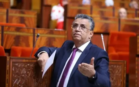 وهبي: وضعنا مشروعا لمراجعة القانون الجنائي وإعادة النظر في عقوبة الحرمان من المعاش