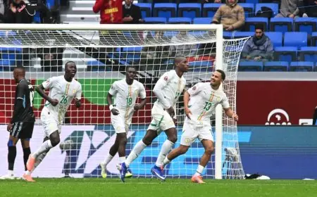 السنغال تفتتح مشوارها في كأس أمم أفريقيا بفوز على بوتسوانا