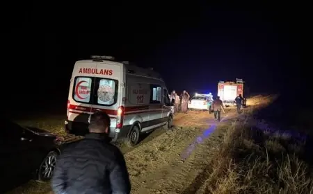 تركيا تعلن عن فتح تحقيق في حادثة سقوط الطائرة الليبية