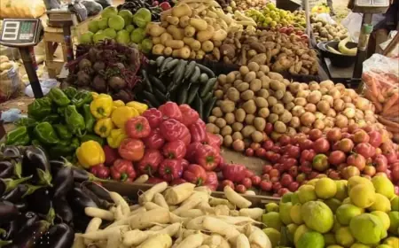 بالتزامن مع تساقط أمطار الخير.. ارتفاع أسعار الخضر بالأسواق المغربية