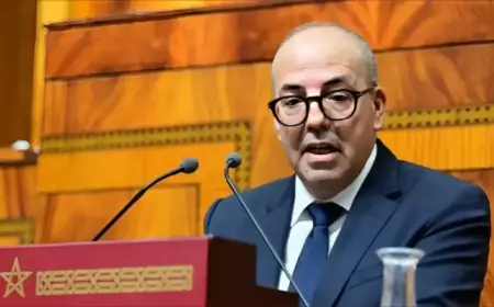 برلمانية تجر وزير الفلاحة للمساءلة بسبب المبيدات الزراعية المحظورة المستوردة من أوروبا