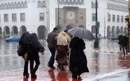 تازة تتصدر مقاييس الأمطار المسجلة بالمملكة خلال الـ 24 ساعة الماضية