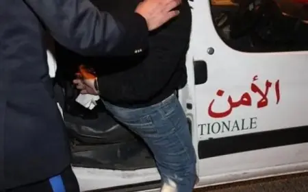 توقيف شخص بحوزته مخدرات ومؤثرات عقلية على متن حافلة بطنجة