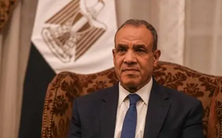 وزير الخارجية المصري: صفقة الغاز مع إسرائيل صفقة تجارية فقط ولا علاقة لها بغزة