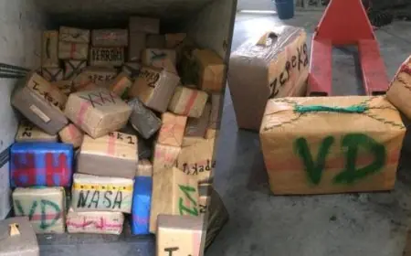 ميناء طنجة المتوسط.. إجهاض محاولة تهريب 8 أطنان و196 كلغ من مخدر الشيرا