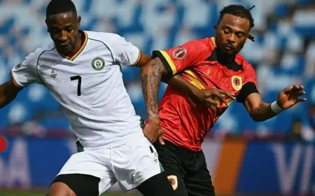 زيمبابوي يفرض تعادلا مثيرا على أنغولا  في كأس إفريقيا