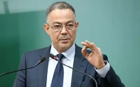 Fouzi Lekjaa : Le programme d’aide sociale directe atteint un grand succès avec 386 000 veuves bénéficiaires