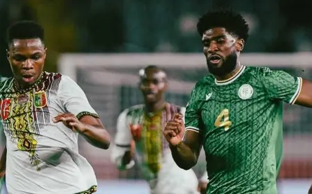 مالي يرافق المنتخب المغربي إلى دور الثمن بعد تعادل مثير أمام جزر القمر