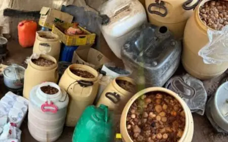 تفكيك مصنع سري للماحيا وحجز كميات كبيرة من المخدرات بالصويرة