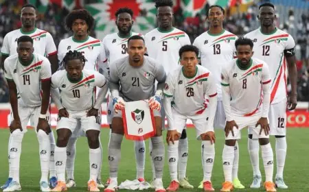 منتخب السودان يضمن تأهله لدور الـ16 في كأس إفريقيا