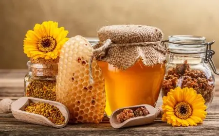 4 مكونات يومية ستصبح أطعمة خارقة عند دمجها مع العسل