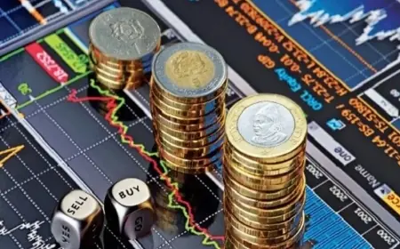 المندوبية السامية للتخطيط: الادخار الوطني يستقر في 29,7 في المائة خلال الفصل الثالث من 2025
