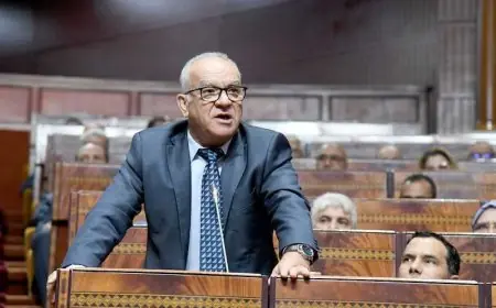 إدانة البرلماني نور الدين مضيان بالسجن لمدة 6 أشهر نافذة وغرامة 150 ألف درهم
