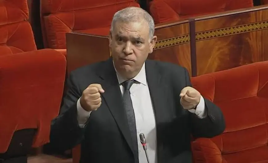 لفتيت: عمال الإنعاش الوطني لا يملكون وضعية قانونية قارة تتيح إدماجهم في الوظيفة العمومية