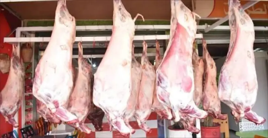 استقرار نسبي في أسعار اللحوم الحمراء بأسواق الجملة في الدار البيضاء