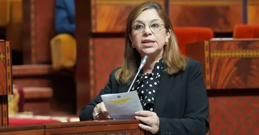 وزيرة الأسرة: ربات البيوت المغربيات يقمن بالطهي والتنظيف بلا أجر وحماية