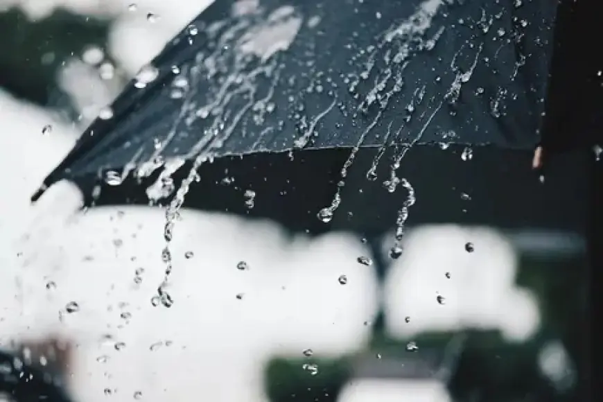 تساقطات ثلجية وأمطار مرتقبة بعدد من مناطق المملكة اليوم السبت