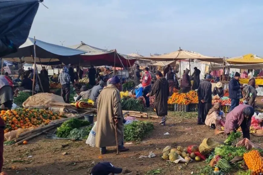 شركات صورية وأرقام مزورة بCNSS.. تلاعبات خطيرة تهز صفقات تدبير الأسواق الأسبوعية