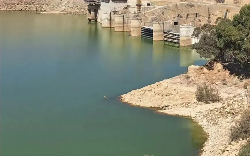 الحكومة تتفاءل بأمطار دجنبر وأثرها الإيجابي على الفلاحة ورفع مخزون السدود