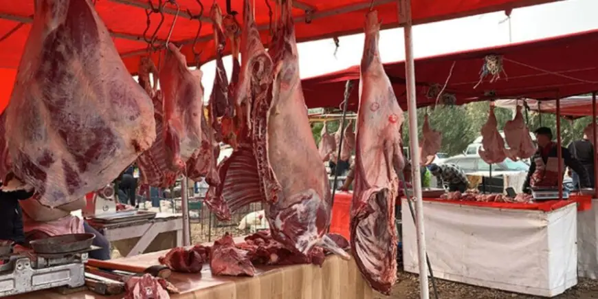 قرار تعليق رسوم استيراد الأبقار والأغنام يفشل في خفض أسعار اللحوم الحمراء بالمغرب