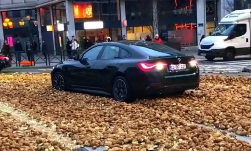 تصعيد فلاحي في بروكسيل وباريس.. مزارعون أوروبيون يحتجون برمي محاصيلهم رفضاً للسياسات التجارية للاتحاد الأوروبي