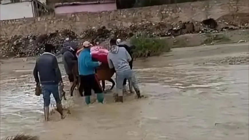 تازة.. مواطنون ينقلون سيدة في حالة صحية حرجة على ظهر حمار وسط الأوحال