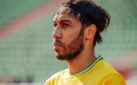 الحكومة الغابونية تجمد نشاط المنتخب بعد إخفاقه في كأس أمم إفريقيا "المغرب 2025"