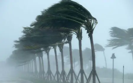 مديرية الأرصاد تحذر من اضطراب جوي بسبب اقتراب عاصفة "فرانسيس" من المغرب