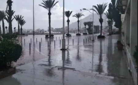 بشكل طارئ.. لجنة اليقظة بأكادير إداوتنان تجتمع لمواجهة مخاطر الأمطار الغزيرة