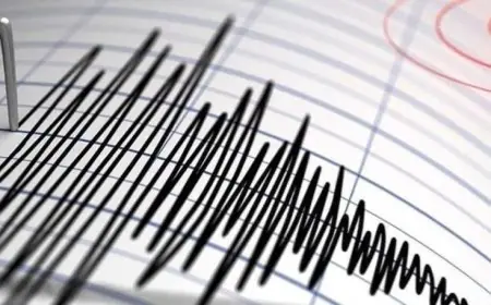 زلزال بقوة 6.5 درجات يهز جنوب ووسط المكسيك دون تسجيل خسائر بشرية