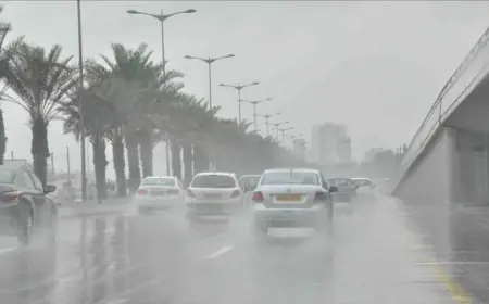 نشرة إنذارية محينة: أمطار قوية وثلوج مرتقبة بمجموعة من مناطق المملكة