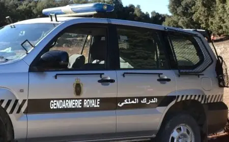 الدرك الملكي يحجز سيارة مسروقة وسلاح ناري بجماعة لوطا