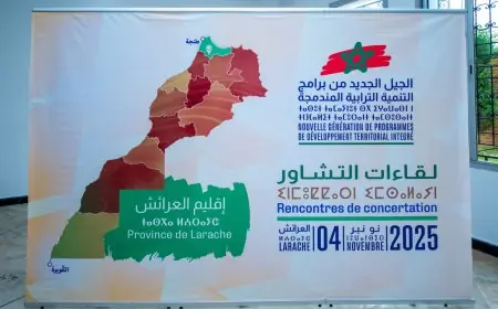 استبعاد سماسرة العقارات من الاستفادة من مشاريع الجيل الجديد من التنمية