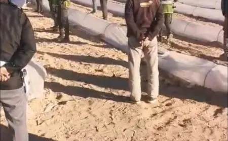 سلطات طاطا تُتلف مساحات مغروسة بالبطيخ الأحمر بمنطقة قيادة أديس