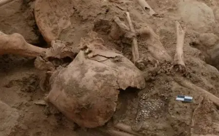 العثور على رفات بشرية مفقودة منذ أشهر في منطقة جبلية بالحسيمة
