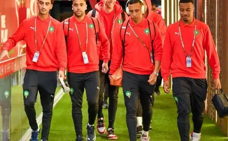 الركراكي يكشف عن تشكيلة الأسود في مواجهة الكاميرون