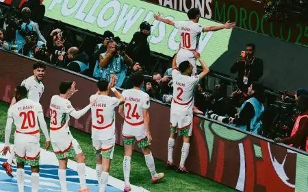 المنتخب المغربي يهزم الكاميرون ويبلغ نصف نهائي الكان للمرة الأولى منذ 2004