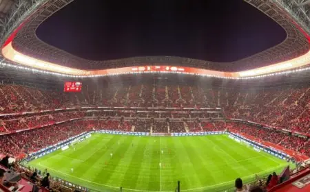 برنامج مباريات اليوم السبت في ربع نهائي كأس أمم إفريقيا