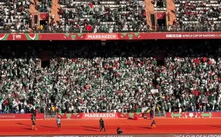 الكاف يفتح تحقيقًا بعد فوضى مباراة نيجيريا والجزائر في ربع نهائي "الكان"