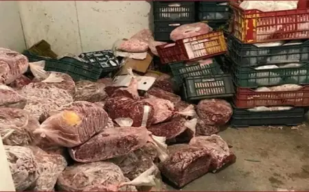 حجز 150 كيلوغراما من اللحوم الفاسدة بالفقيه بن صالح