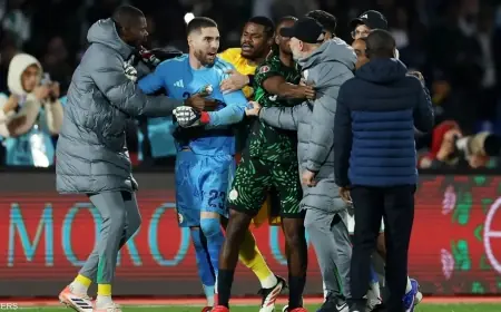 "الكاف" يفتح تحقيقا في سلوكيات غير مقبولة خلال مباراتي المغرب–الكاميرون والجزائر–نيجيريا