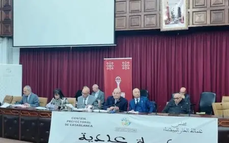 مجلس عمالة الدار البيضاء يصادق على مشاريع جديدة ويطوي صفحة برامج عهد الناصيري