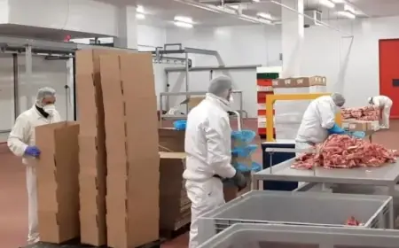 شركة "Hola food" الإسبانية تحصل على ترخيص لتصدير منتجاتها من اللحوم إلى المغرب
